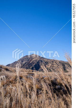Japan Kyushu Aso Volcano Miscanthus Kumamoto aso mountain volcano Japan Kyushu Aso Volcano Miscanthus Kumamoto aso mountain volcano 46327955