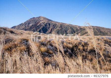 日本 九州 阿蘇 火山 芒草 熊本 aso mountain volcano 46327976
