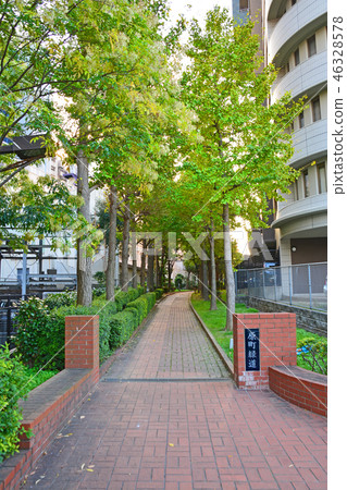 Haramachi Green Road Haramachi Green Road 46328578