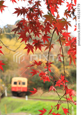 Michio Obata“從楓葉間隙看到的本地線” 46328779