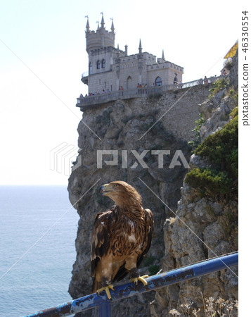 The eagle sitting on the railing looks towards the 46330554