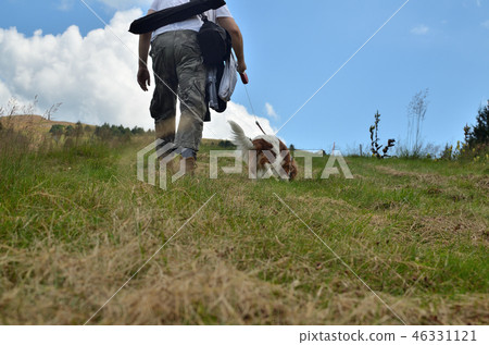 Man and dog in a walk 46331121