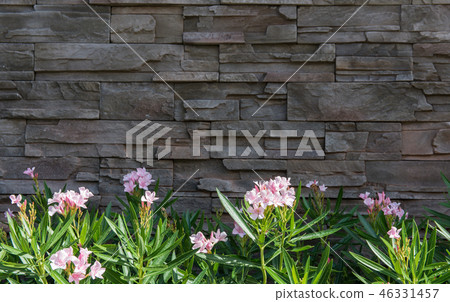 Pink flower bush with stone walls. 46331457