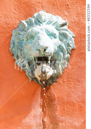lion head sprayer. lion head sprayer. 46331594