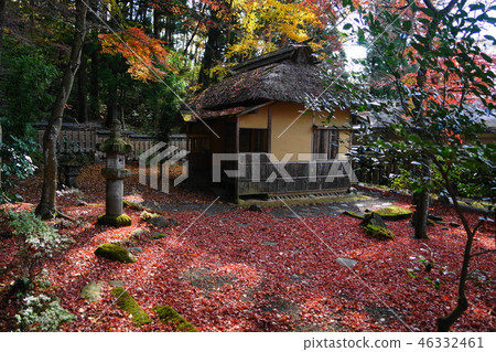 十一月白川08松川月月（茶室）和紅葉離開/南面神社 46332461
