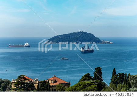 Tino Island in the Gulf of La Spezia - Italy 46333034