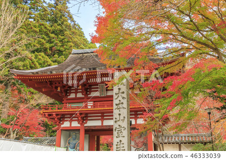 Muro-ji Temple Muro-ji Temple 46333039