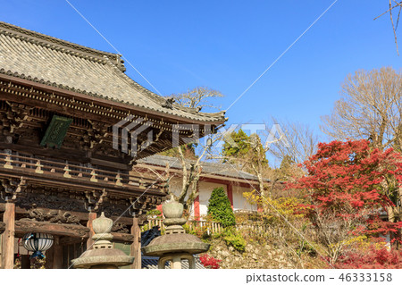 Autumn leaves of Hase-dera Temple 46333158