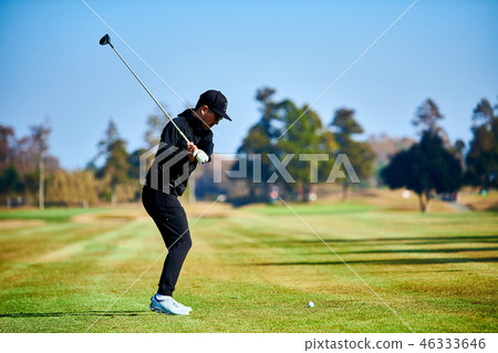 高爾夫球道木頭 46333646