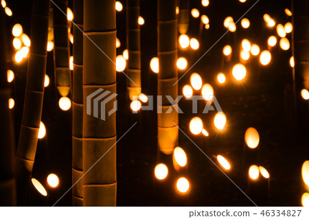 Small-diameter light-up of bamboo grove (Small Castle Ruins Citizen's Forest) Small-diameter light-up of bamboo grove (Small Castle Ruins Citizen's Forest) 46334827