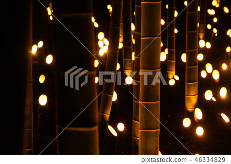 Small-diameter light-up of bamboo grove (Small Castle Ruins Citizen's Forest) 46334829