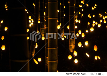 Small-diameter light-up of bamboo grove (Small Castle Ruins Citizen's Forest) Small-diameter light-up of bamboo grove (Small Castle Ruins Citizen's Forest) 46334830