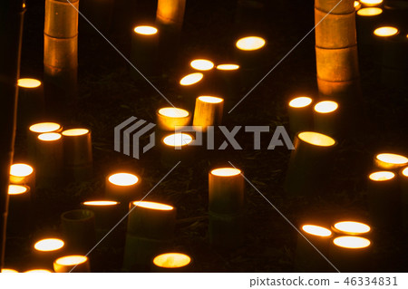 竹林小口徑照明（小城堡遺址公民森林） 46334831