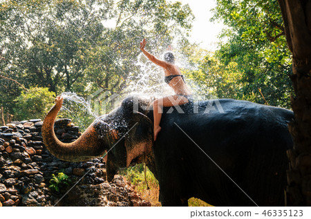 Young woman enjoys water splashing by elephant 46335123