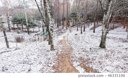 winter, Scenery 46335198