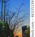month 46335199