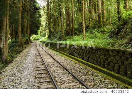 Alishan Forest railway in Taiwan 46335342