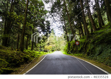 Mountain road in green forest 46335528