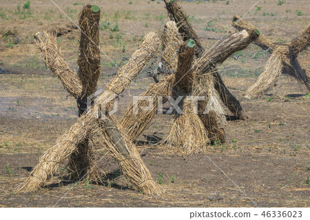 Anti-personnel obstacles on the battlefield 46336023