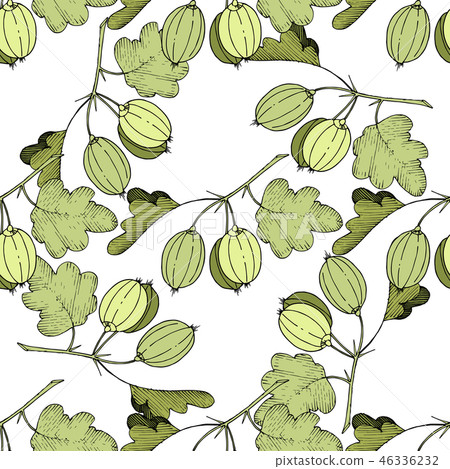 Vector Gooseberry black and white engraved ink art. Seamless background pattern. Vector Gooseberry black and white engraved ink art. Seamless background pattern. 46336232