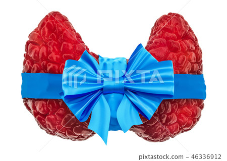 Thyroid with bow and ribbon. 3D rendering Thyroid with bow and ribbon. 3D rendering 46336912