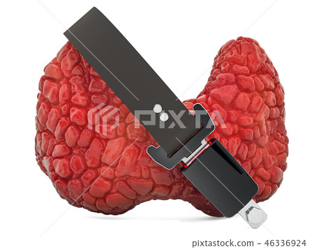 Human thyroid with safety belt, protect concept Human thyroid with safety belt, protect concept 46336924
