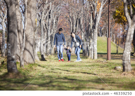 Families playing in the park 46339250