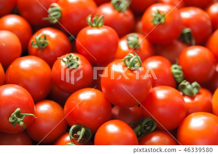 Image of fresh tomatoes Image of fresh tomatoes 46339580