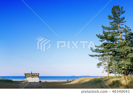 Sandy Shore Of The Lake Against  Natural Blue Sky  46340041