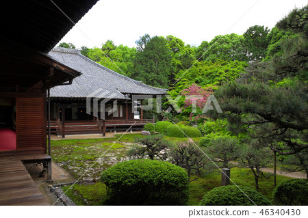 Fresh green ushishinin garden Fresh green ushishinin garden 46340430
