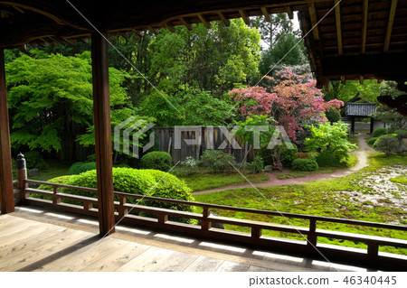 Fresh green ushishinin garden 46340445