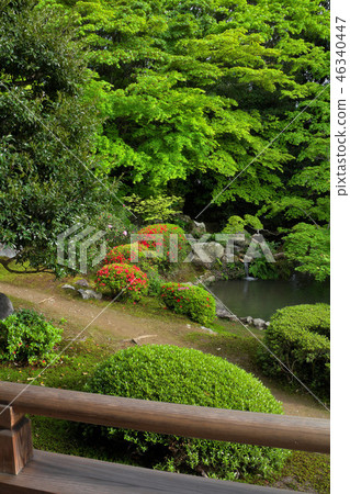 Fresh green ushishinin garden 46340447