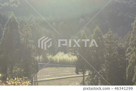 Country landscape 46341299
