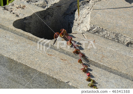 Rough rough skin 46341388