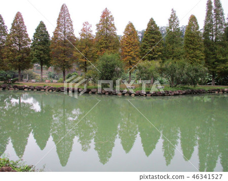 新竹縣寶山北埔峨嵋湖獅頭山南庄 46341527