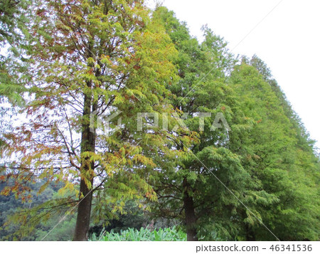 新竹縣寶山北埔峨嵋湖獅頭山南庄 46341536