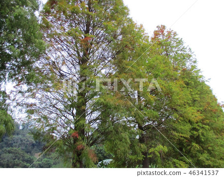 新竹縣寶山北埔峨嵋湖獅頭山南庄 46341537