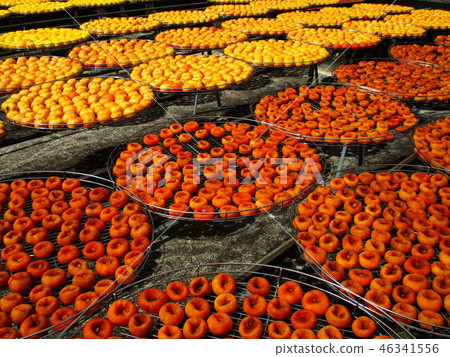 新竹縣寶山北埔峨嵋湖獅頭山南庄 46341556