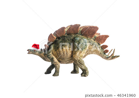 dinosaur , Stegosaurus on white background dinosaur , Stegosaurus on white background 46341960
