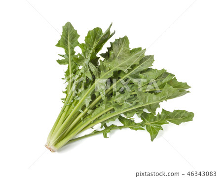 Edible dandelion on white background Edible dandelion on white background 46343083