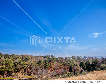  [Izu City, Shizuoka Prefecture] Autumn park scenery [Shuzenji Rainbow Village] 46343246