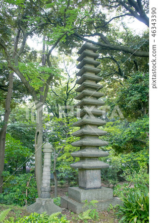 Tokyo, Old Furukawa Garden, 15-story pagoda, National scenic spot Tokyo, Old Furukawa Garden, 15-story pagoda, National scenic spot 46343390