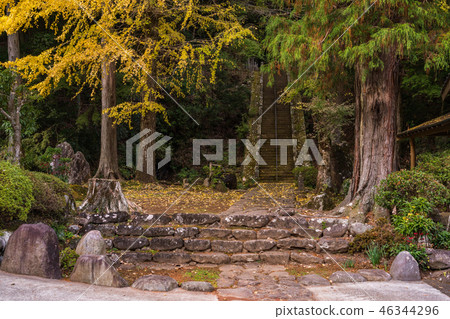 （靜岡縣） 46344296