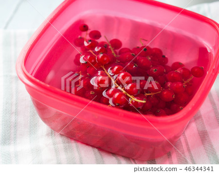 Red currant washed in water in bowl Red currant washed in water in bowl 46344341