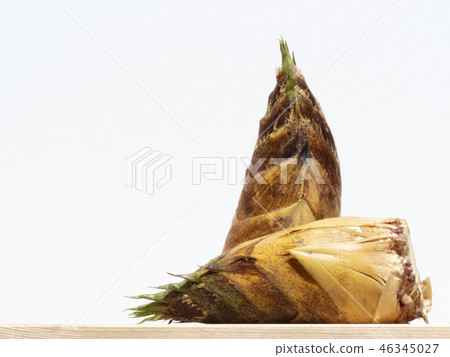 Horidate Takenoko 46345027