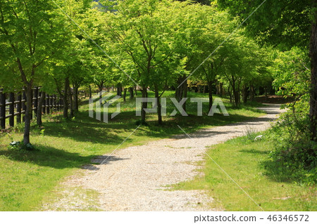 夏天走路 夏天走路 46346572