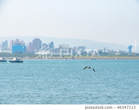 bird at riverside 46347113