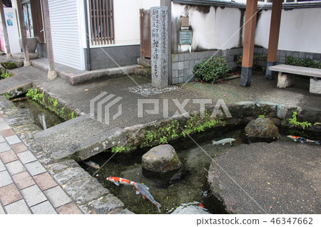 鯨魚島原市長崎縣九州的游泳區域 鯨魚島原市長崎縣九州的游泳區域 46347662