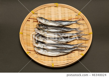 Flying fish 46348024