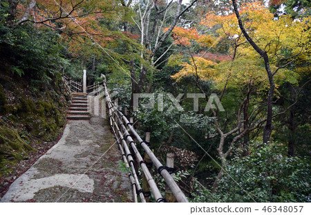 Daigyoukaku Senkoji Temple approach 46348057